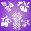 Fruit Stencil, 10 x 10 inch - Pear Grape Cherry