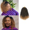 XGY Hair 8 Packs Pre-looped Yanky Twist Crochet Hair 8