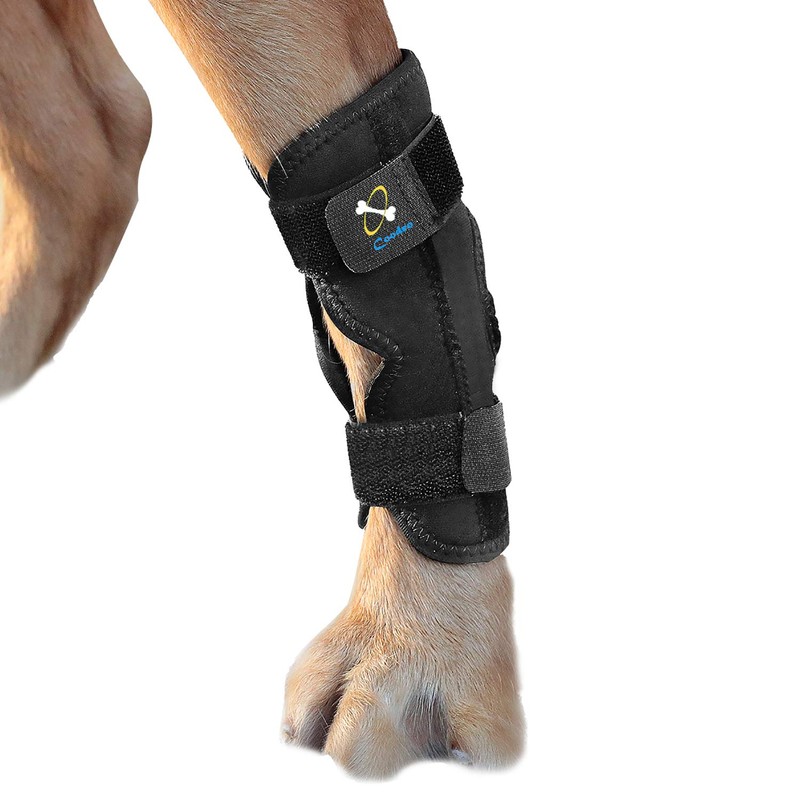 Coodeo Powerful Dog Canine Rear Leg Hock Joint Brace with