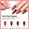 Magnetic Nail Polish Non Gel Quick Dry Cat Eye Nail
