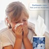 CLOVER Facial Tissues with Cap - 4 PK Car Tissues