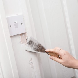 151 10061 Filer, Clear