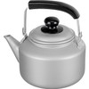 Wahei Freiz RB-2325 Lightweight Instant Boiling Aluminum Kettle, 7.6 gal