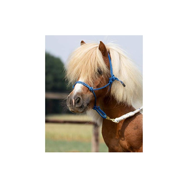 Smooth II Knot Halter