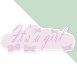Extra Large 460mm 'It's A Girl' Permanent Sticker Decal for Cars/Windows/Bins/Walls (DW00109631)