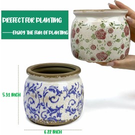 Dosayes Vintage Ceramic Ice Crack Flower Pot with Drainage Holes, Country Rustic Planters for Indoor and Outdoor,Tuscan Decor,Home,Living Room, Garden Decor, Gardening Gift (Tropical)