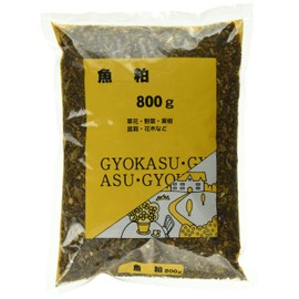 ōmiya Green Service Fish I G