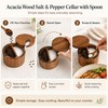 Acacia Wood Salt and Pepper Cellar with Spoon - 360°