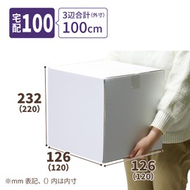 Earth Cardboard ID1666 Cardboard, 100 Sizes, Cubes, Set of 10, White, Cardboard, 100 Square