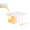 Rosenstein & Söhne Ice Lolly Moulds Premium ice lolly mould