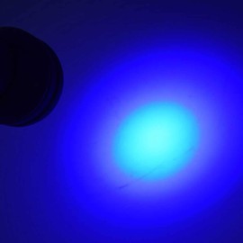 UV Light Torch 51 LEDs Diameter x Length 55 x 145 mm Detector Banknote Dried Stains Black Light