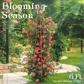 Hsundries 6FT Obelisk Trellis for Climbing Plants Outdoor, 16mm Rust-Proof Extra Thickened Plastic-Coated Metal Pipes, Indoor Climbing Support for Potted Plants, Vines, Flowers Stands,Green