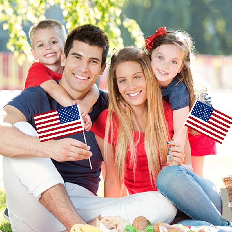 30 Pcs American Flags Small Flags On Sticks Hand Held