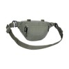 Tasmanian Tiger TT Modular Hip Bag, Tactical Bum Bag, Molle