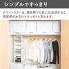 Towa Industries MSC 85691 Storage Bag, Gap Standing Storage, Closet,