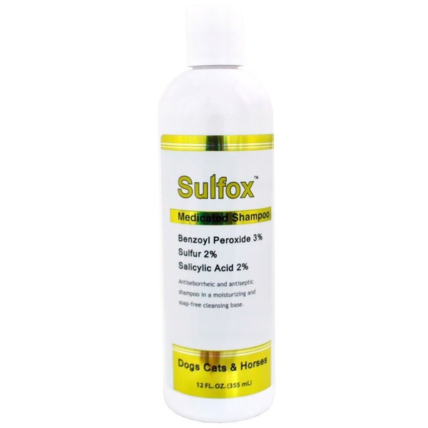 Sulfox Shampoo for Pets - Powerful Cleansing and Degreasing - Relief of Scaling and Itching - Skin Infection - Antibacterial and Antifungal Growth - Skin and Hair Coat - 12 fl oz