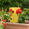 Gideal 50-Pack Dual-Sided Yellow Sticky Traps for Flying Plant Insect