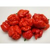 Trinidad Moruga Scorpion 6 Dried Peppers