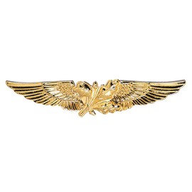 Navy Aviation Supply Officer Badge Gold Finish - Regulation