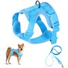 Gurumato 小型犬と中型犬に優しい柔らかい犬用ハーネス 通気性 で軽量な訓練用リード付 引っ張り防止と反射材料で安全 猫も使える調節可能なペットハーネス (S)