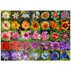 MyPuzzle Colorful Flowers Collage No. 5 in Spring and Summer