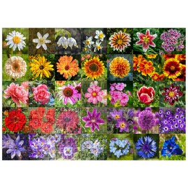 MyPuzzle Colorful Flowers Collage No. 5 in Spring and Summer - Premium 500 Piece Jigsaw Puzzle for Adults