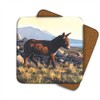 Donkey Drinks Coasters by Wildlife Artist Julian Friers - Set