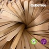 GoBeTree 500 Wooden Scoops Individually Wrapped in 14cm Paper Disposable