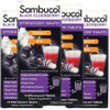 Sambucol Black Elderberry + Vitamin C and Zinc Effervescent Tablets, 4, 15 Tablets / 삼부콜 블랙 엘더베리 + 비타민 C 엔 아연 발포정 타블렛, 4개, 15정