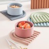 Rainbow Silicone Trivet - Color: Sienna