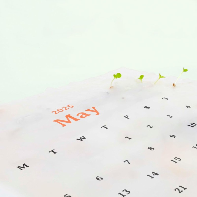 Plantable Calendar 2025