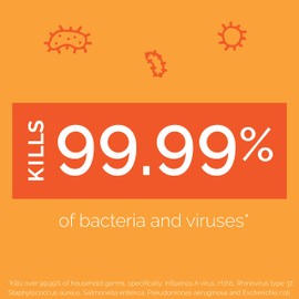 Seventh Generation Disinfectant Spray, Eucalyptus Spearmint & Thyme Scent, 13.9 Ounce (Pack of 4)