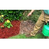 EnviroColor Red Mulch Dye | 32 oz Treats 2400 Ft²,