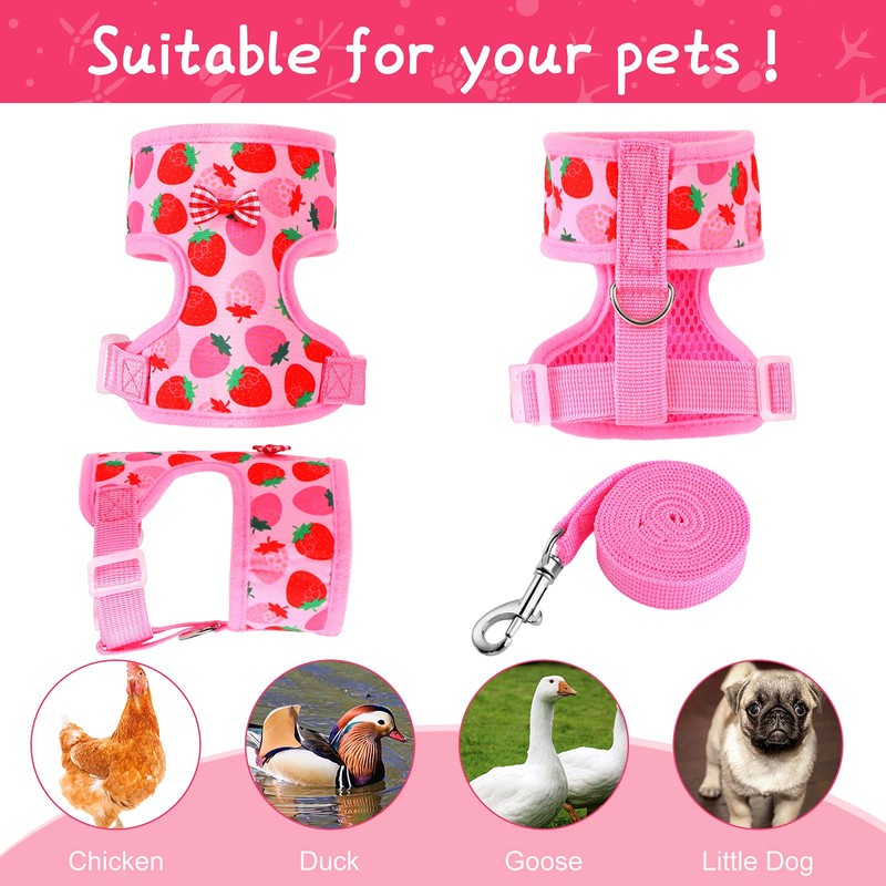 Frienda 2 Pcs Adjustable Chicken Harness and Leash Set Spring