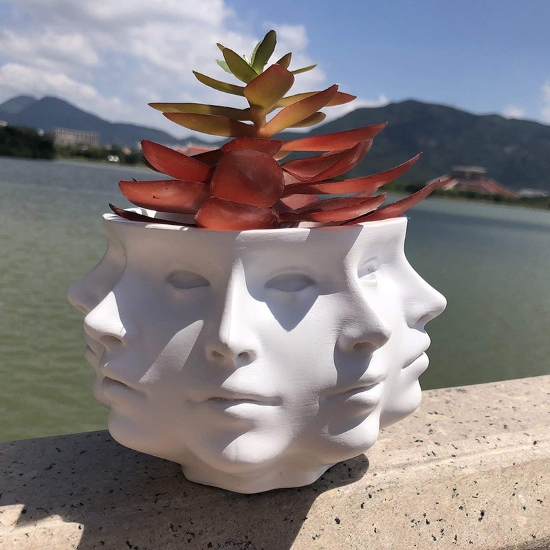 QUINTRA Succulent Planter with Faces, Small Face, Face Vase, Home
