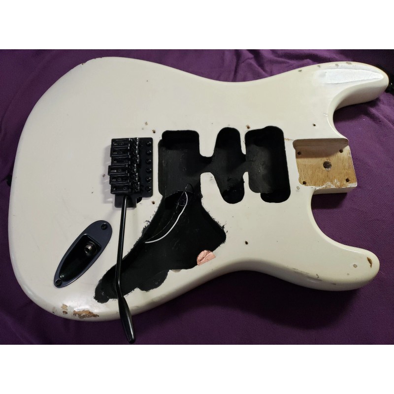 NW Custom Guitars NEW! Conductive Shielding Paint for Strat, Tele,