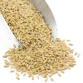 Grain Millers Whole Oat Groats, Non-GMO, Whole Grain, Bulk, Delicious Cereal Grain, High in Dietary Fiber and Protein, 50 lb