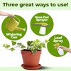 Ivy Plant Food, Complete Liquid Ivy and Vine Plant Ferilizer,