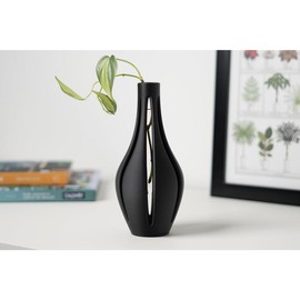 Glass Plant Propagation Vase, Decor and Centerpiece - Color: Black