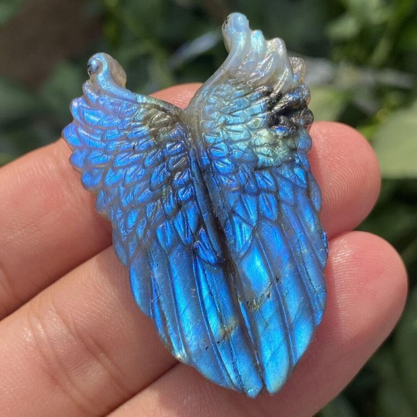 1PC Natural Labradorite Hand Carved The Wing Skull Quartz Crystal