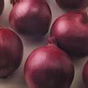 Onion RED Zepplin Hybrid Great Vegetable by Seed Kingdom (30 Seeds)