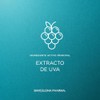 Mascarilla Hidratante Reparadora, Cabello Seco y Maltratado, Semilla Uva