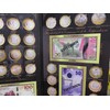 ALBUM PARA MONEDAS DE 5 10 Y 20 PESOS BILLETES