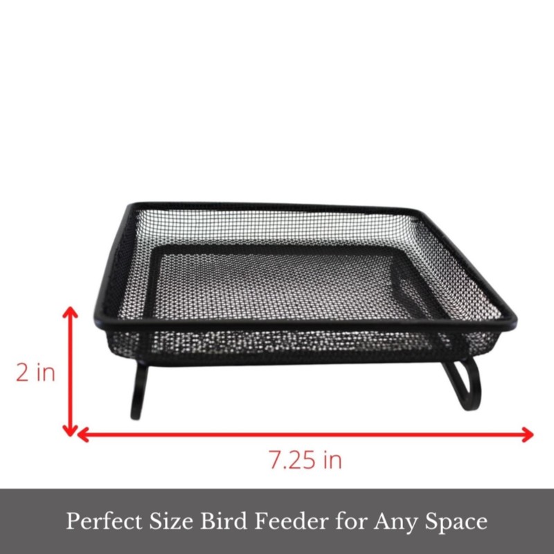 Backyard Essentials Wildlife and Bird Feeder, Deck and Ground Tray