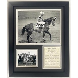 Championsip Racehorse Collectible Memorabilia | Triple Crown Racehorses | Framed Photo Collages | 12"x15" (Native Dancer)