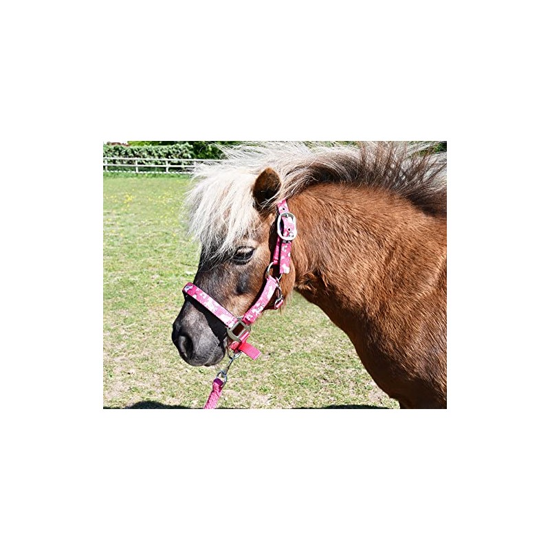 Rhinegold Unicorn Headcollar and Rope Set - Shetland - Rasp,