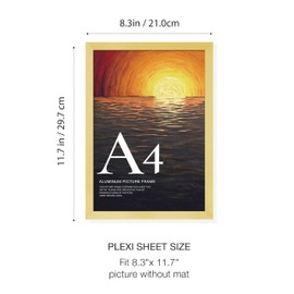 LIVINGTASTE A4 Picture Frame Brushed Gold Aluminium, 2-Pack 21x30 cm Photo Frame with Plexiglass Front, for Certificates, Photos, Documents and Wall Display