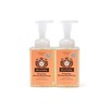 Moon Valley Herbal Foaming Hand Soap, Grapefruit Thyme 2 Pack,