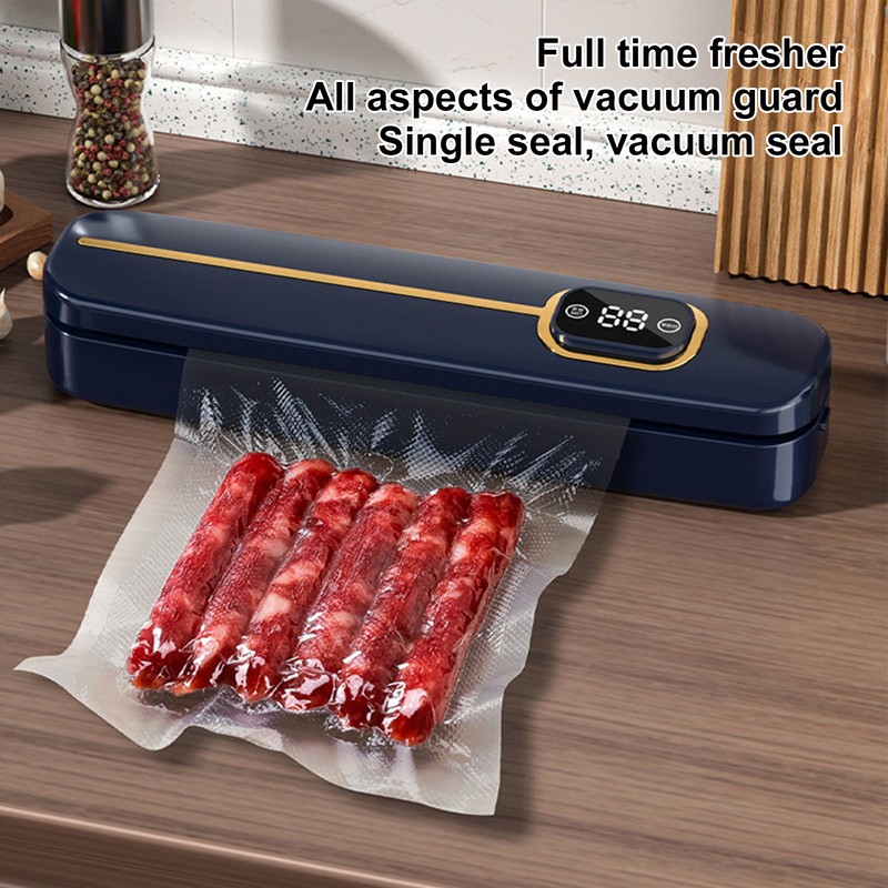 Vacuum Sealer Machine Multifunctional Portable Compact Wet Dry Dual Use