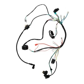 Unbranded CDI Wiring Harness Loom For ATV QUAD Buggy Go Kart 70/90/110/125C